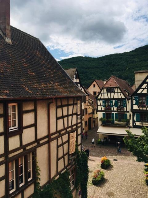Appartement Au Charme Alsacien Kaysersberg-Vignoble Buitenkant foto