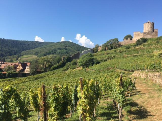Appartement Au Charme Alsacien Kaysersberg-Vignoble Buitenkant foto